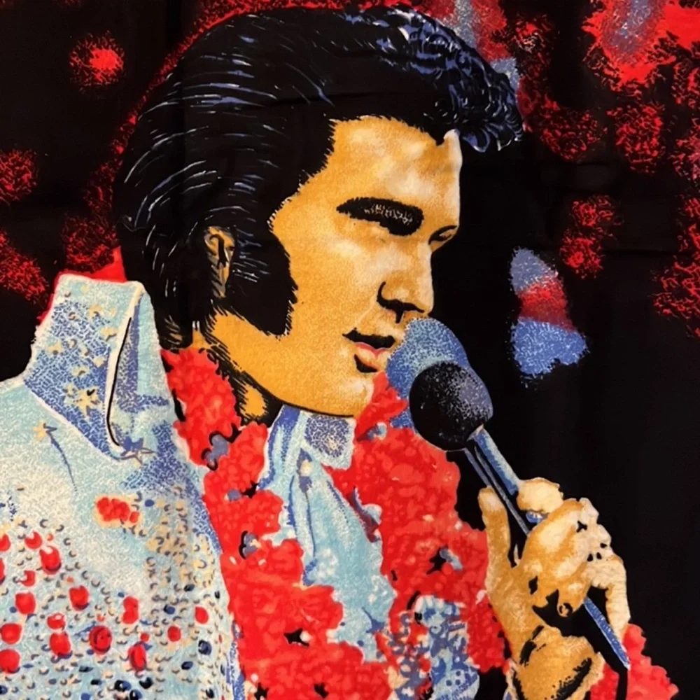 VINTAGE 1970’s VELVETEEN ELVIS PRESLEY WALL HANGING TAPESTRY 37” x 58”
